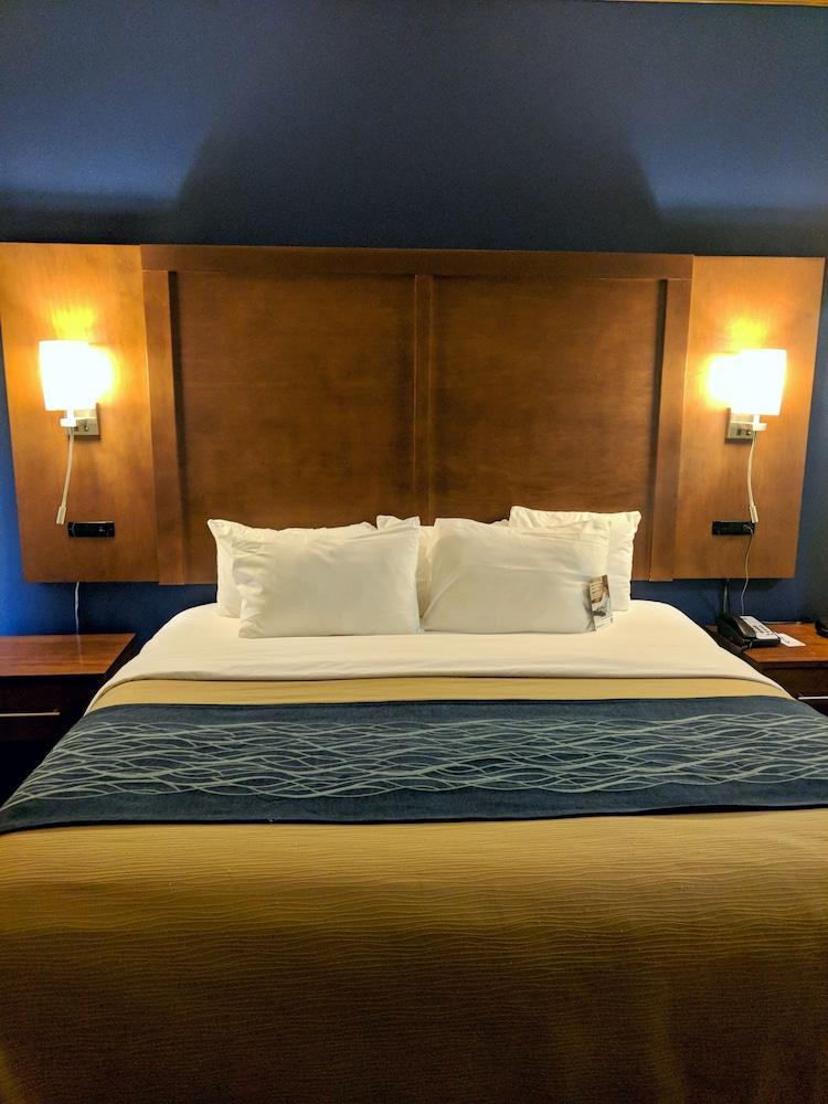 Comfort Inn & Suites Statesboro - University Area Kültér fotó